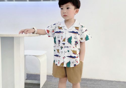 SET SƠ MI CỔ VE IN TRÀN KHỦNG LONG