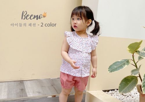 BỘ THÔ HOA NHÍ YẾM BÈO